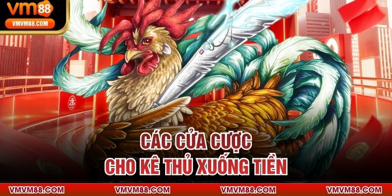 Các cửa cược cho kê thủ xuống tiền