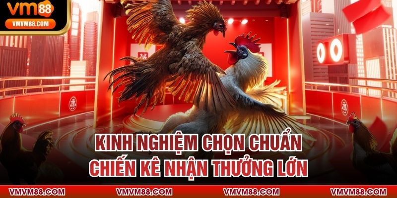 Kinh nghiệm chọn chuẩn chiến kê nhận thưởng lớn