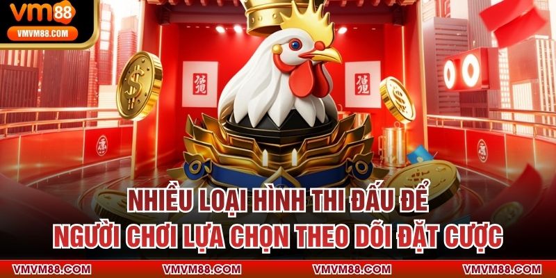 Nhiều loại hình thi đấu để người chơi lựa chọn theo dõi đặt cược